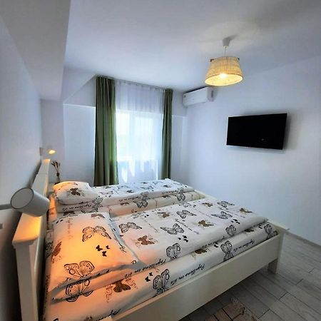 ホテル Casa Calin クリシャン エクステリア 写真