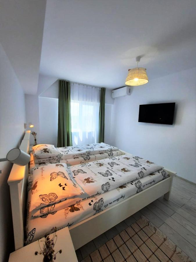 ホテル Casa Calin クリシャン エクステリア 写真