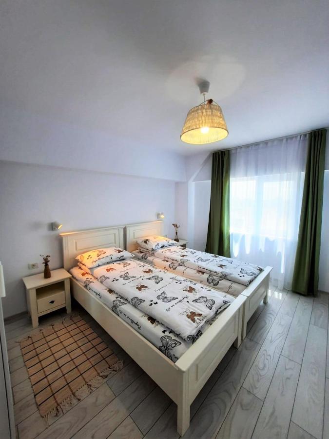ホテル Casa Calin クリシャン エクステリア 写真